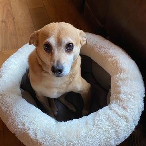 Meet your Posher, Gary